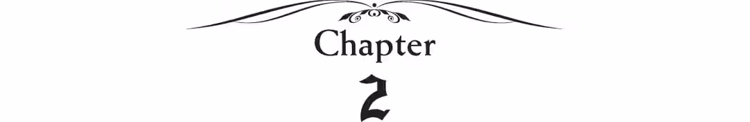 Chapter 1